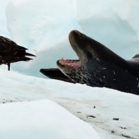 21_Eduardo_Mariano_Ruiz_Barlett